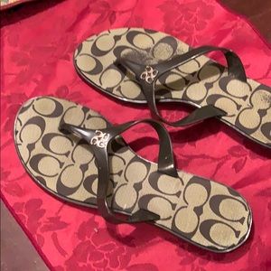 Coach Trixie sandals